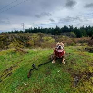 Meet your Posher, Jim